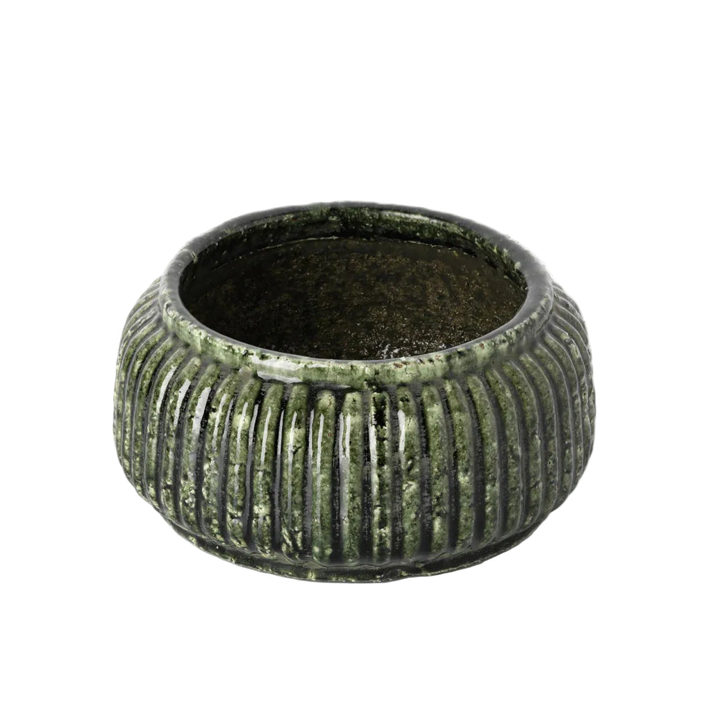 The Forest Ribbed Bowl Planter